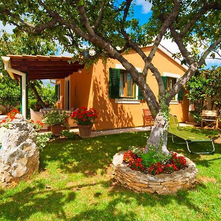 Guest House Bizjak فينكوران المظهر الخارجي الصورة