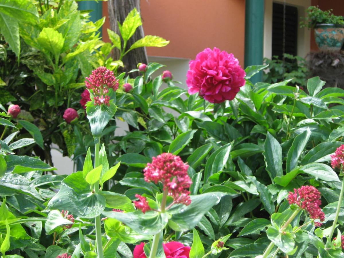 Guest House Bizjak فينكوران المظهر الخارجي الصورة