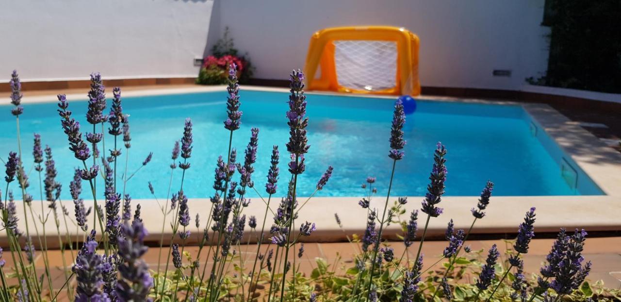 Guest House Bizjak فينكوران المظهر الخارجي الصورة