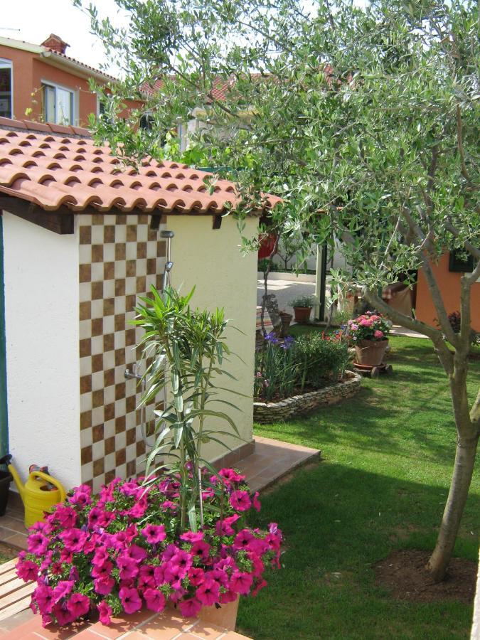 Guest House Bizjak فينكوران المظهر الخارجي الصورة