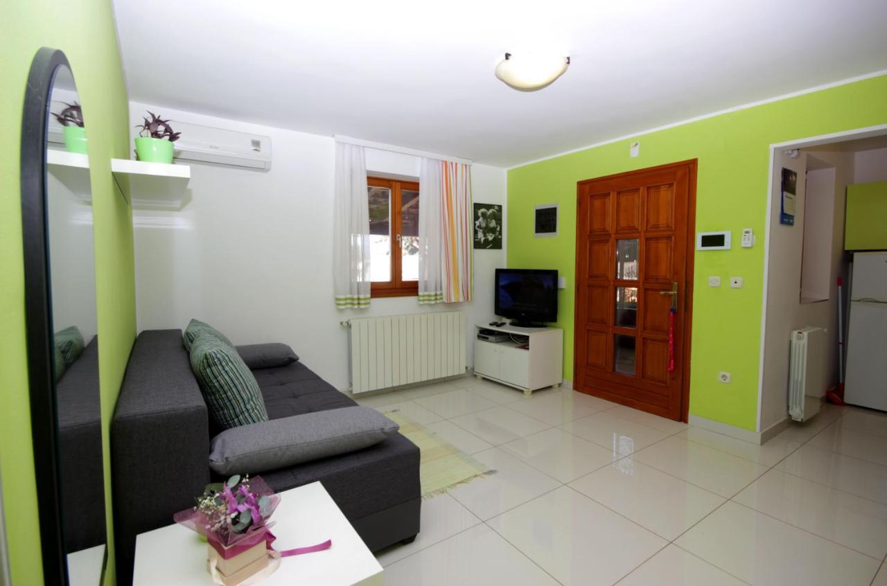 Guest House Bizjak فينكوران المظهر الخارجي الصورة