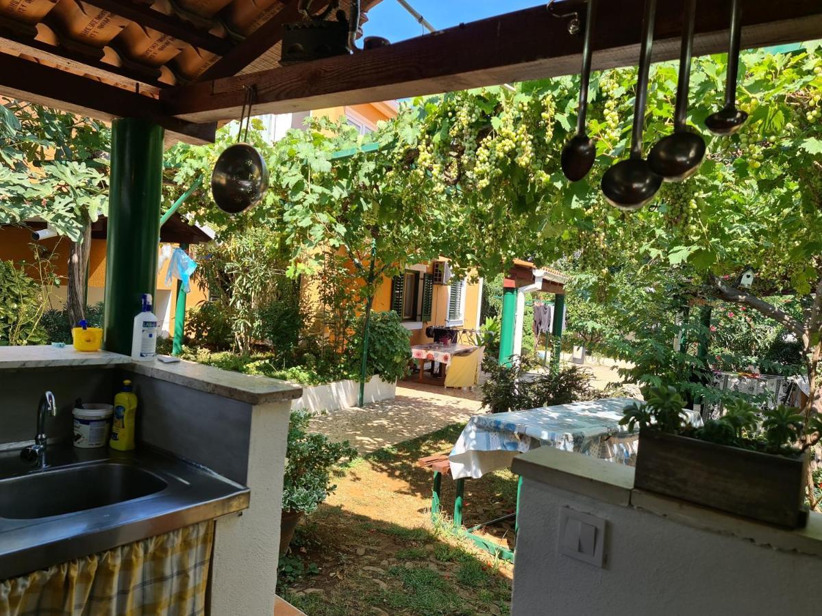 Guest House Bizjak فينكوران المظهر الخارجي الصورة
