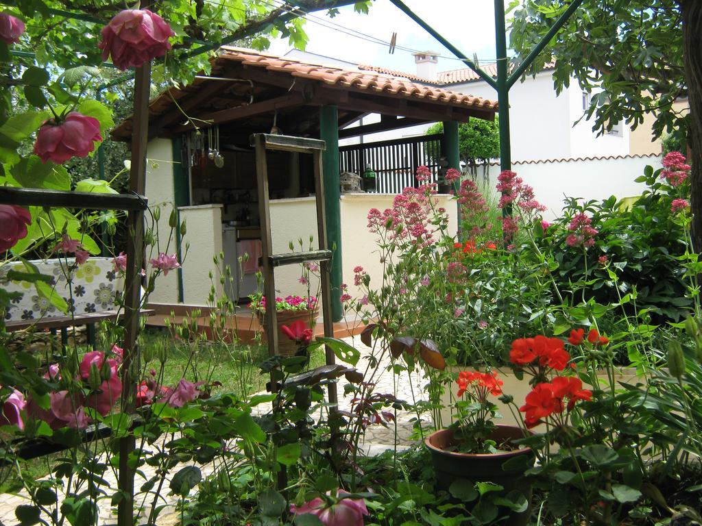 Guest House Bizjak فينكوران المظهر الخارجي الصورة